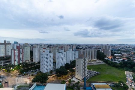 Vista da Lavanderia de apartamento para alugar com 2 quartos, 52m² em Jardim Celeste, São Paulo