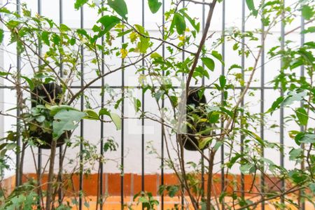 Sala de casa à venda com 3 quartos, 134m² em Vila Nova Caledonia, São Paulo