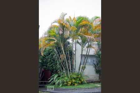 Casa à venda com 300m², 3 quartos e 3 vagas Casa à venda com 300m², 3 quartos e 3 vagasJardim