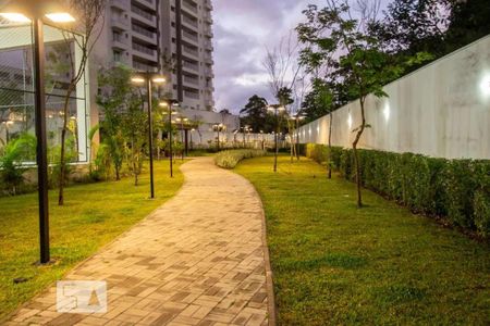 Area Comum de apartamento para alugar com 3 quartos, 80m² em Vila Anastácio, São Paulo