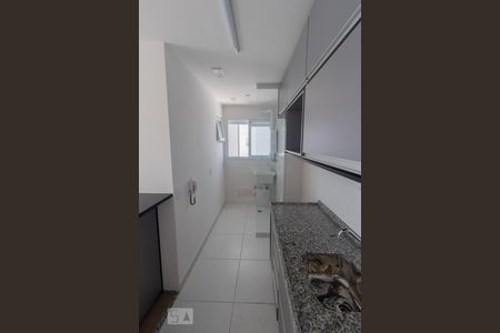 Apartamento à venda com 58m², 2 quartos e 1 vaga Apartamento à venda com 58m², 2 quartos e 1 vagaCozinha