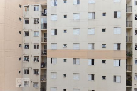 Apartamento para alugar com 52m², 2 quartos e 1 vagaVista do Quarto 1