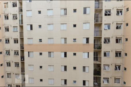 Apartamento para alugar com 52m², 2 quartos e 1 vagaVista do Quarto 2