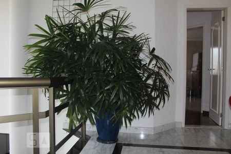 Casa de condomínio para alugar com 387m², 6 quartos e 2 vagasHall