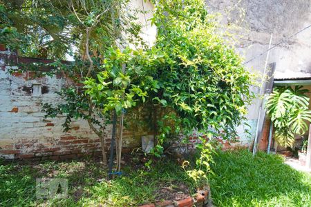 Casa à venda com 280m², 3 quartos e 2 vagasSala-Vista 