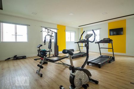 Apartamento para alugar com 41m², 2 quartos e sem vaga Apartamento para alugar com 41m², 2 quartos e sem vagaÁrea comum - Academia