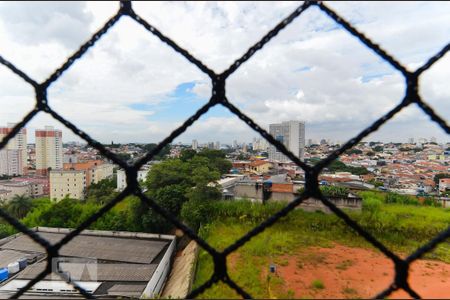 Apartamento para alugar com 59m², 2 quartos e 1 vaga Apartamento para alugar com 59m², 2 quartos e 1 vagaVista do Quarto 1