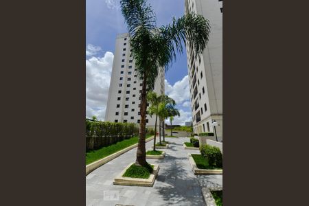 Apartamento para alugar com 59m², 2 quartos e 1 vaga Apartamento para alugar com 59m², 2 quartos e 1 vagaÁrea Externa