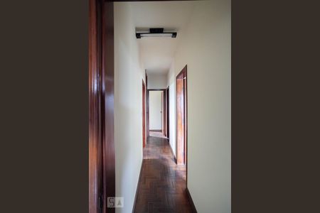 Corredor  de apartamento para alugar com 3 quartos, 85m² em Nova Suíça, Belo Horizonte