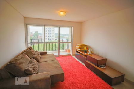 Sala de apartamento à venda com 3 quartos, 95m² em Vila Indiana, São Paulo