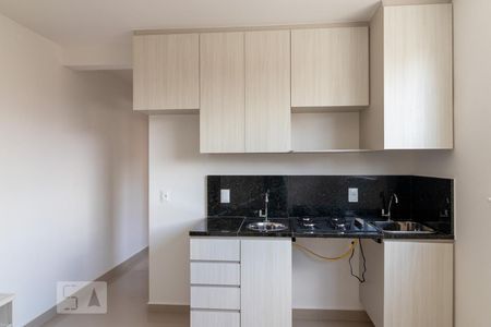 Sala/Cozinha de apartamento para alugar com 2 quartos, 38m² em Sagrada Família, Belo Horizonte