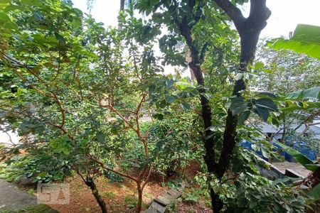 Casa à venda com 645m², 4 quartos e 5 vagasQuintal 