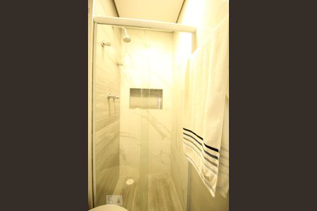 Banheiro de apartamento para alugar com 2 quartos, 55m² em Santa Teresinha, São Paulo