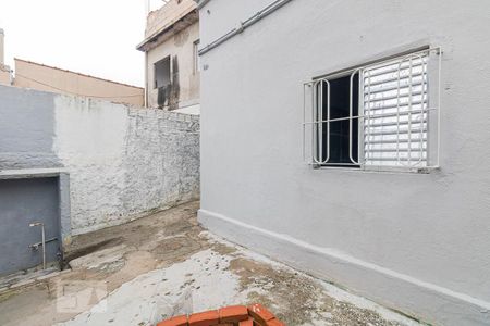 Studio para alugar com 20m², 1 quarto e sem vagaQuintal