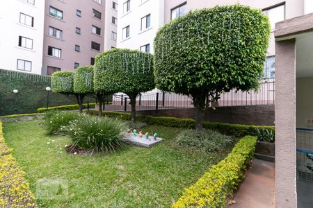 Area comum de apartamento para alugar com 2 quartos, 60m² em Vila Santa Catarina, São Paulo