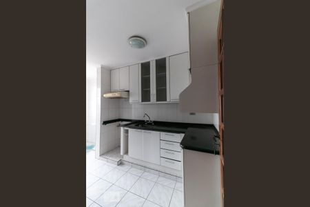 Cozinha de apartamento para alugar com 2 quartos, 60m² em Vila Santa Catarina, São Paulo