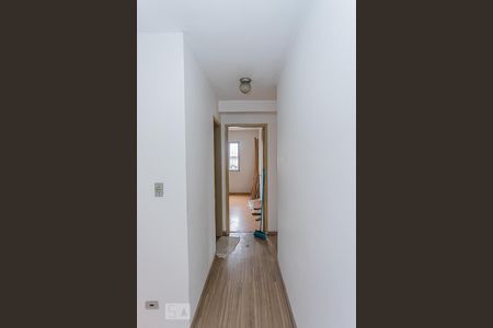 Corredor de apartamento para alugar com 3 quartos, 65m² em Vila Marina, São Paulo