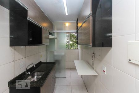 Cozinha de apartamento para alugar com 2 quartos, 50m² em Jardim Santa Terezinha (zona Leste), São Paulo