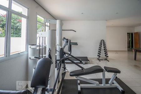 Área comum - Academia de apartamento para alugar com 2 quartos, 70m² em Vila Industrial, Campinas