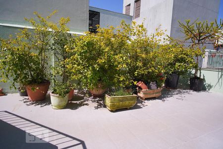 Apartamento à venda com 43m², 1 quarto e sem vagaÁrea comum 