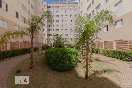 Apartamento à venda com 62m², 3 quartos e 1 vagaÁrea comum