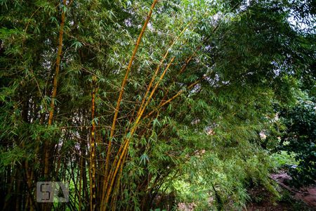 Casa à venda com 350m², 4 quartos e 8 vagasVista da Varanda da Suíte 1