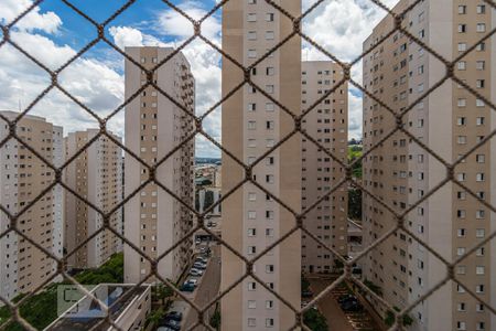 Vista do Quarto 1 de apartamento para alugar com 2 quartos, 51m² em Vila Sao Joao, Barueri