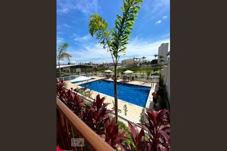 Área comum - Piscina de apartamento à venda com 2 quartos, 42m² em Vila Anhangüera, Campinas