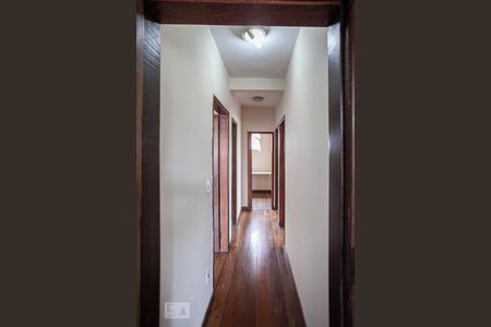 Corredor de apartamento para alugar com 4 quartos, 180m² em Palmares, Belo Horizonte