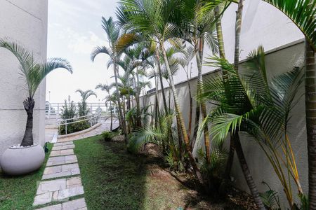 Apartamento para alugar com 43m², 1 quarto e 1 vagaÁrea Verde