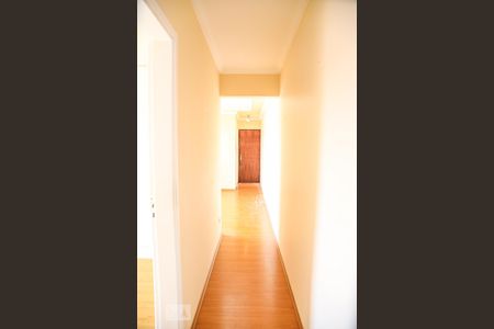 Corredor de apartamento para alugar com 2 quartos, 67m² em Santa Paula, São Caetano do Sul