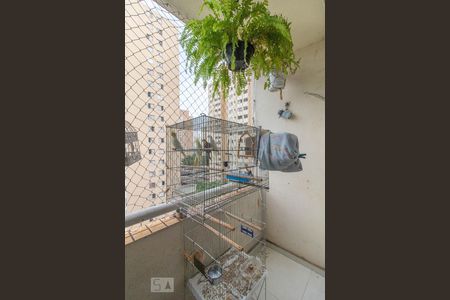 Sacada de apartamento para alugar com 3 quartos, 65m² em Jardim Andarai, São Paulo