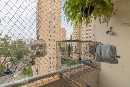 Sacada de apartamento para alugar com 3 quartos, 65m² em Jardim Andarai, São Paulo