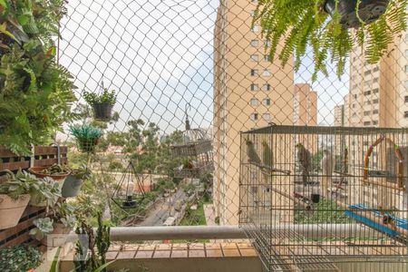 Sacada de apartamento para alugar com 3 quartos, 65m² em Jardim Andarai, São Paulo