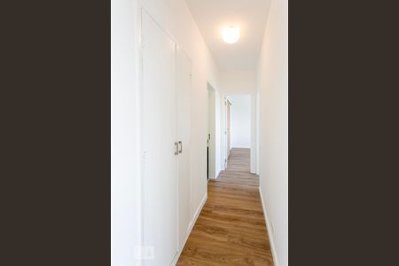 Corredor de apartamento para alugar com 2 quartos, 80m² em Vila Romana, São Paulo
