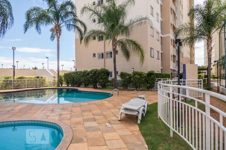 Área comum - Piscina de apartamento para alugar com 2 quartos, 52m² em Bonfim, Campinas