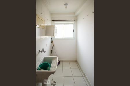Área de Serviço de apartamento para alugar com 2 quartos, 52m² em Bonfim, Campinas