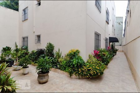 Apartamento para alugar com 60m², 2 quartos e 1 vaga Apartamento para alugar com 60m², 2 quartos e 1 vagaÁrea Externa