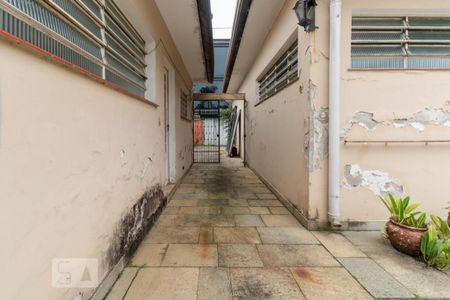 Casa para alugar com 400m², 4 quartos e 6 vagasQuintal