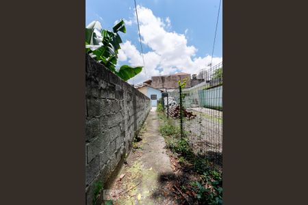Corredor Entrada de casa para alugar com 1 quarto, 23m² em Jardim Japão, São Paulo