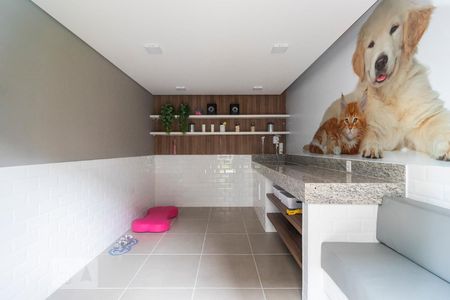 Apartamento para alugar com 32m², 1 quarto e sem vagaÁrea comum - Pet care