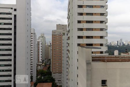 Apartamento à venda com 373m², 4 quartos e 4 vagasVista da Varanda da Copa