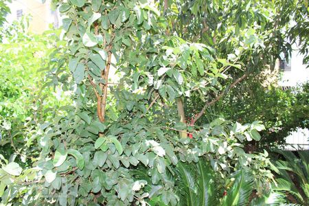 Apartamento à venda com 48m², 2 quartos e sem vagaVista do Quarto 2