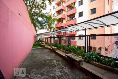 Apartamento para alugar com 71m², 3 quartos e 1 vagaÁrea comum - Churrasqueira