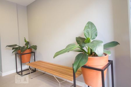 Apartamento para alugar com 43m², 2 quartos e 1 vagaHall