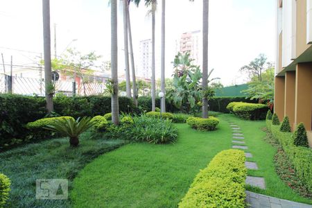 Apartamento para alugar com 91m², 3 quartos e 1 vagaJardim