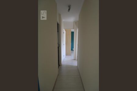 Corredor de apartamento para alugar com 2 quartos, 53m² em Mansões Santo Antônio, Campinas