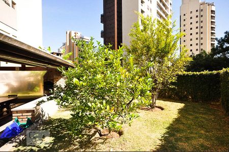 Pomar de apartamento para alugar com 1 quarto, 48m² em Vila Suzana, São Paulo