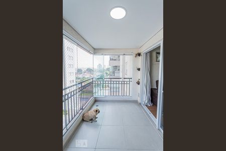 Varanda da Sala de apartamento para alugar com 2 quartos, 64m² em Vila Mangalot, São Paulo