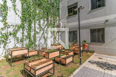Apartamento para alugar com 55m², 2 quartos e 1 vaga Apartamento para alugar com 55m², 2 quartos e 1 vagaÁrea comum - Horta